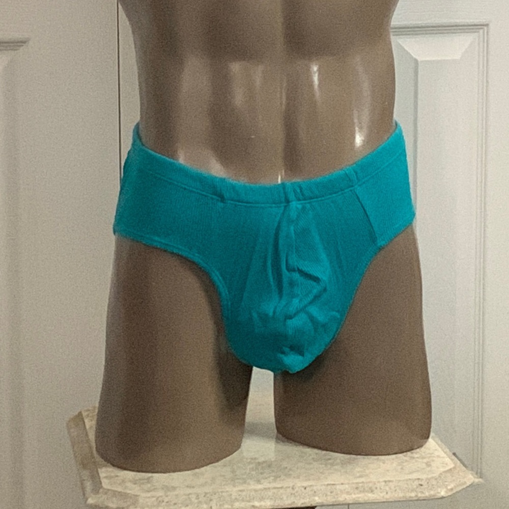 NWOT Teal Brief from Undergear A663